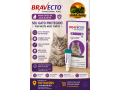 bravecto-transdermal-roxo-para-gatos-de-28-a-625kg-antipulgas-e-carrapatos-top-racoes-ji-parana-small-0