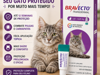 bravecto-transdermal-roxo-para-gatos-de-28-a-625kg-antipulgas-e-carrapatos-top-racoes-ji-parana