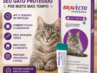 bravecto-transdermal-roxo-para-gatos-de-28-a-625kg-antipulgas-e-carrapatos-top-racoes-ji-parana