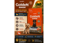 golden-senior-3kg-para-caes-idosos-de-porte-pequeno-top-racoes-ji-parana-small-0