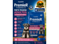 premier-formula-racas-pequenas-filhotes-frango-25kg-top-racoes-ji-parana-small-0