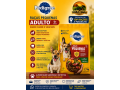 pedigree-racas-pequenas-adulto-carne-e-vegetais-27kg-top-racoes-ji-parana-small-0