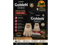 golden-gatos-adultos-carne-3kg-top-racoes-ji-parana-small-0