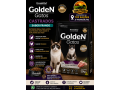 golden-gatos-castrados-frango-3kg-top-racoes-ji-parana-small-0