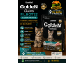 golden-gatos-filhotes-frango-3kg-top-racoes-ji-parana-small-0