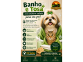 banho-e-tosa-com-carinho-e-cuidado-para-seu-pet-top-racoes-ji-parana-small-0