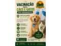 vacinacao-para-caes-e-gatos-sob-agendamento-top-racoes-ji-parana-small-0