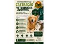 encaminhamento-para-castracao-veterinaria-em-ji-parana-top-racoes-small-0
