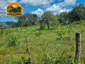 fazenda-plana-a-venda-em-teresina-de-goias-go-172-hectares-na-beira-da-br-118-small-0