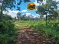 fazenda-plana-a-venda-em-teresina-de-goias-go-172-hectares-na-beira-da-br-118-small-4