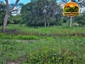 fazenda-plana-a-venda-em-teresina-de-goias-go-172-hectares-na-beira-da-br-118-small-2