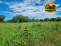 fazenda-plana-a-venda-em-teresina-de-goias-go-172-hectares-na-beira-da-br-118-small-3