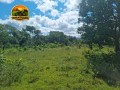 fazenda-plana-a-venda-em-teresina-de-goias-go-172-hectares-na-beira-da-br-118-small-1