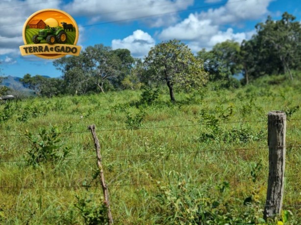fazenda-plana-a-venda-em-teresina-de-goias-go-172-hectares-na-beira-da-br-118-big-0