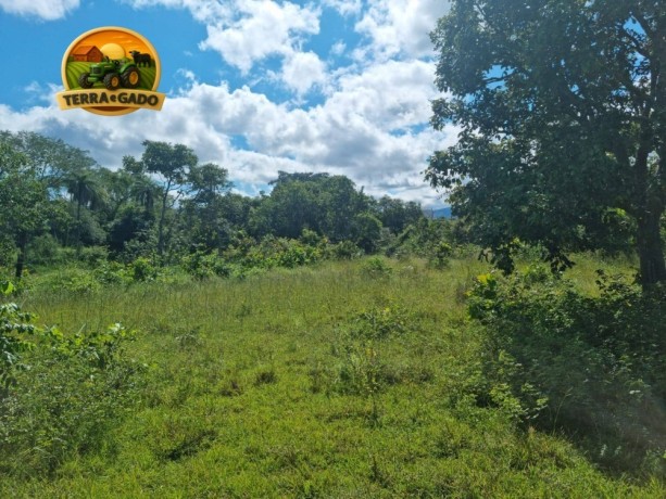 fazenda-plana-a-venda-em-teresina-de-goias-go-172-hectares-na-beira-da-br-118-big-1