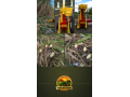 colhicana-whole-cane-tecnologia-para-colheita-integral-de-cana-de-acucar-small-3