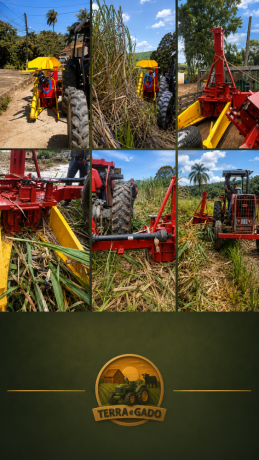 colhicana-whole-cane-tecnologia-para-colheita-integral-de-cana-de-acucar-big-4
