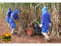 motorized-whole-cane-cutter-colhicana-cortador-motorizado-para-cana-inteira-small-4