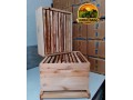 caixas-de-abelhas-padrao-langstroth-em-eucalipto-direto-do-fabricante-small-0