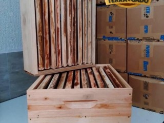 caixas-de-abelhas-padrao-langstroth-em-eucalipto-direto-do-fabricante