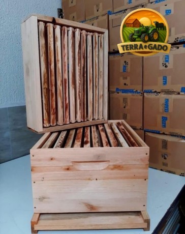 caixas-de-abelhas-padrao-langstroth-em-eucalipto-direto-do-fabricante-big-0