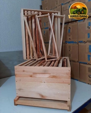 caixas-de-abelhas-padrao-langstroth-em-eucalipto-direto-do-fabricante-big-2