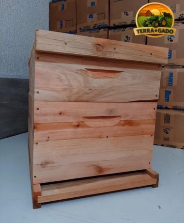 caixas-de-abelhas-padrao-langstroth-em-eucalipto-direto-do-fabricante-big-1