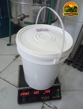 mel-silvestre-e-mel-de-eucalipto-baldes-de-25kg-e-30kg-big-3