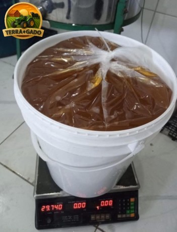 mel-silvestre-e-mel-de-eucalipto-baldes-de-25kg-e-30kg-big-1