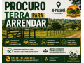 procuro-terra-para-arrendar-em-ji-parana-ro-pecuaria-ou-agricultura-small-0