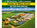 fazenda-de-3180-hectares-para-cafe-eucalipto-lavoura-e-pecuaria-em-minas-gerais-small-3