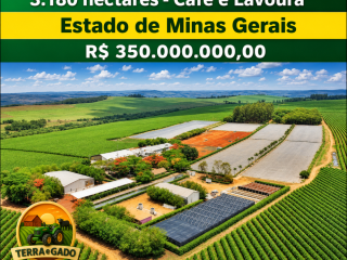 fazenda-de-3180-hectares-para-cafe-eucalipto-lavoura-e-pecuaria-em-minas-gerais