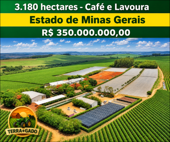 fazenda-de-3180-hectares-para-cafe-eucalipto-lavoura-e-pecuaria-em-minas-gerais-big-3