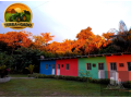 pousada-a-venda-na-am-070-11000m2-11-apartamentos-negocio-pronto-para-operar-small-1