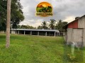 propriedade-rural-a-venda-na-br-174-341-mil-m2-destaque-para-galpao-completo-para-avicultura-e-estrutura-para-agronegocio-small-3