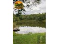 propriedade-rural-a-venda-na-br-174-341-mil-m2-destaque-para-galpao-completo-para-avicultura-e-estrutura-para-agronegocio-small-0