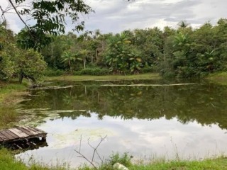 propriedade-rural-a-venda-na-br-174-341-mil-m2-destaque-para-galpao-completo-para-avicultura-e-estrutura-para-agronegocio