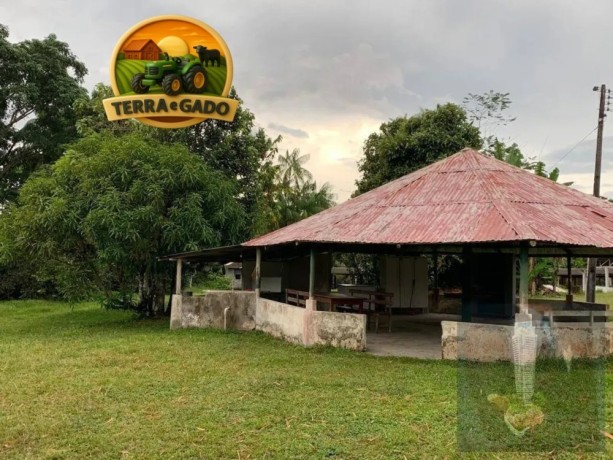 propriedade-rural-a-venda-na-br-174-341-mil-m2-destaque-para-galpao-completo-para-avicultura-e-estrutura-para-agronegocio-big-4