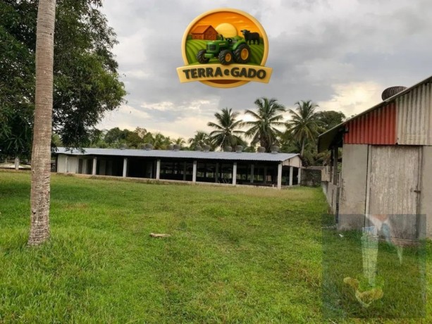 propriedade-rural-a-venda-na-br-174-341-mil-m2-destaque-para-galpao-completo-para-avicultura-e-estrutura-para-agronegocio-big-3