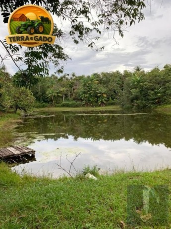 propriedade-rural-a-venda-na-br-174-341-mil-m2-destaque-para-galpao-completo-para-avicultura-e-estrutura-para-agronegocio-big-0