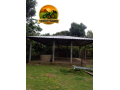 terreno-exclusivo-de-15-hectares-a-venda-em-iranduba-area-estruturada-com-casa-igarape-e-alto-potencial-de-valorizacao-small-3