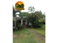 terreno-exclusivo-de-15-hectares-a-venda-em-iranduba-area-estruturada-com-casa-igarape-e-alto-potencial-de-valorizacao-small-1