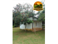 terreno-exclusivo-de-15-hectares-a-venda-em-iranduba-area-estruturada-com-casa-igarape-e-alto-potencial-de-valorizacao-small-4