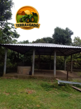 terreno-exclusivo-de-15-hectares-a-venda-em-iranduba-area-estruturada-com-casa-igarape-e-alto-potencial-de-valorizacao-big-3