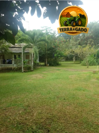 terreno-exclusivo-de-15-hectares-a-venda-em-iranduba-area-estruturada-com-casa-igarape-e-alto-potencial-de-valorizacao-big-0