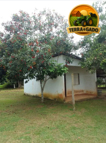 terreno-exclusivo-de-15-hectares-a-venda-em-iranduba-area-estruturada-com-casa-igarape-e-alto-potencial-de-valorizacao-big-4