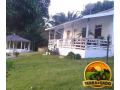 ilha-exclusiva-a-venda-na-floresta-amazonica-em-iranduba-turismo-rural-ecoturismo-e-experiencia-unica-na-amazonia-small-2