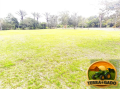 ilha-exclusiva-a-venda-na-floresta-amazonica-em-iranduba-turismo-rural-ecoturismo-e-experiencia-unica-na-amazonia-small-3