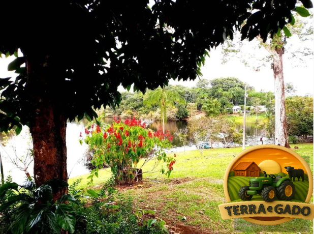 ilha-exclusiva-a-venda-na-floresta-amazonica-em-iranduba-turismo-rural-ecoturismo-e-experiencia-unica-na-amazonia-big-1