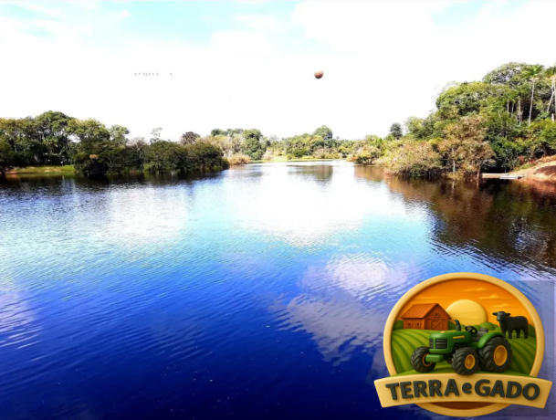 ilha-exclusiva-a-venda-na-floresta-amazonica-em-iranduba-turismo-rural-ecoturismo-e-experiencia-unica-na-amazonia-big-0